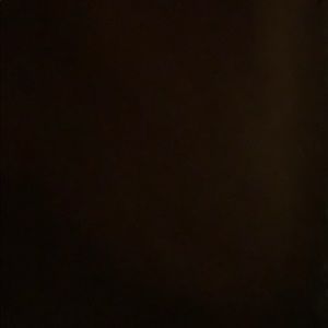 Meet your Posher, Tanner